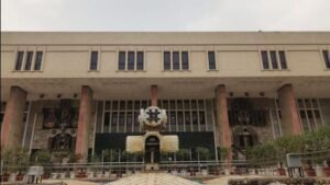 Delhi high court refuses to entertain plea for third-party embryo adoption